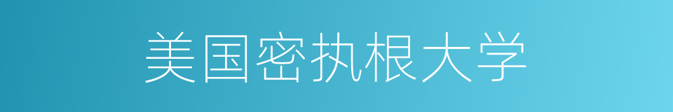 美国密执根大学的同义词