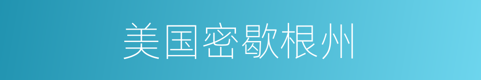 美国密歇根州的同义词