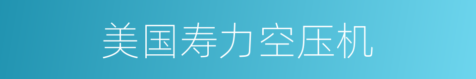 美国寿力空压机的同义词