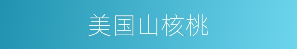 美国山核桃的同义词