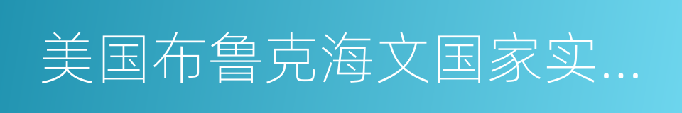 美国布鲁克海文国家实验室的同义词