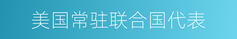 美国常驻联合国代表的同义词