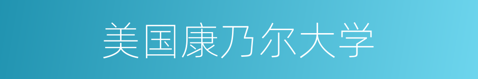 美国康乃尔大学的同义词