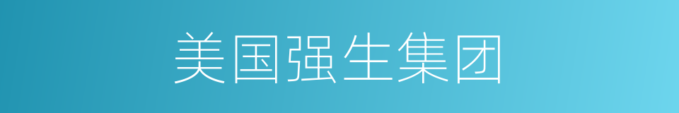 美国强生集团的同义词