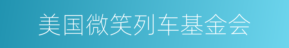 美国微笑列车基金会的同义词