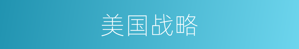美国战略的同义词