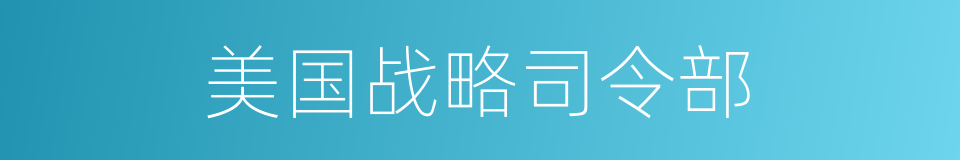 美国战略司令部的同义词