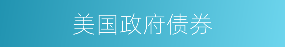 美国政府债券的同义词