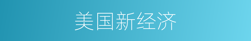 美国新经济的同义词