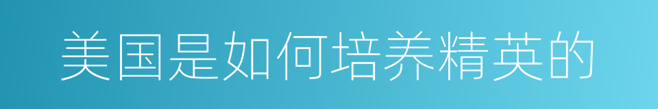 美国是如何培养精英的的同义词