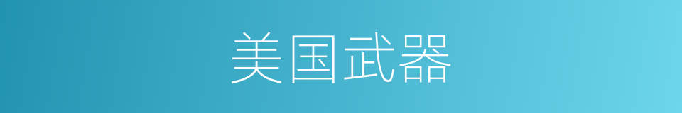 美国武器的同义词