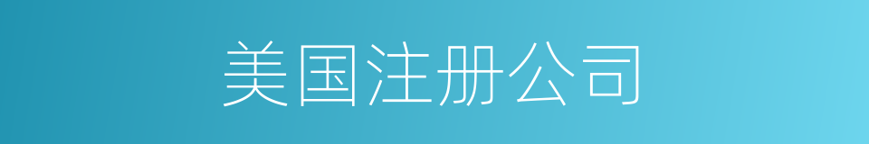美国注册公司的同义词