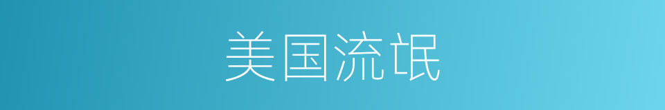 美国流氓的同义词