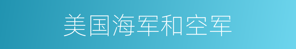 美国海军和空军的同义词