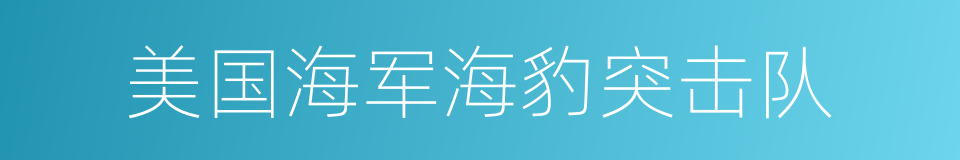 美国海军海豹突击队的同义词