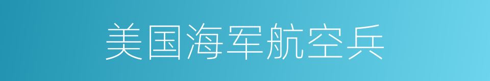 美国海军航空兵的同义词