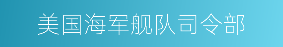 美国海军舰队司令部的同义词