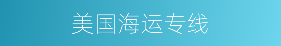 美国海运专线的同义词