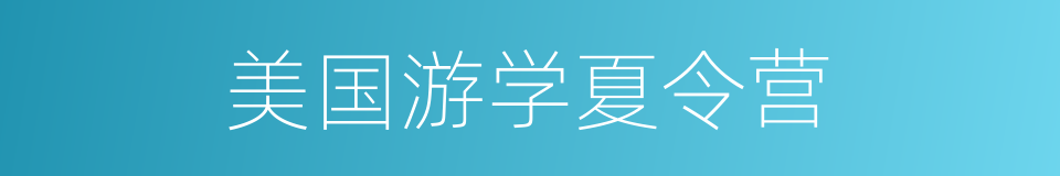 美国游学夏令营的同义词