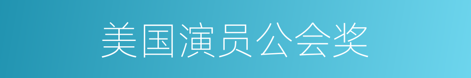 美国演员公会奖的同义词