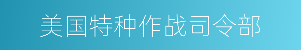 美国特种作战司令部的同义词