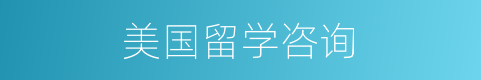 美国留学咨询的同义词