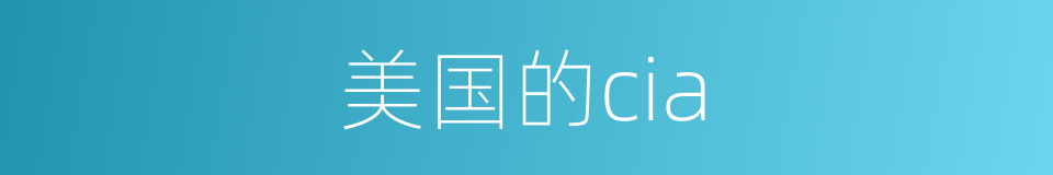 美国的cia的同义词