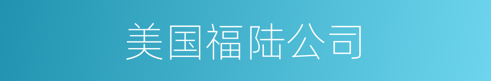 美国福陆公司的同义词