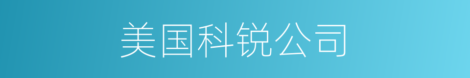 美国科锐公司的同义词