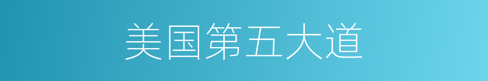 美国第五大道的同义词