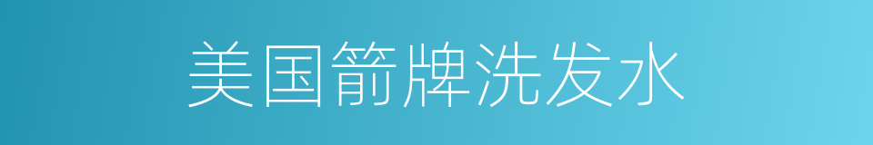 美国箭牌洗发水的同义词