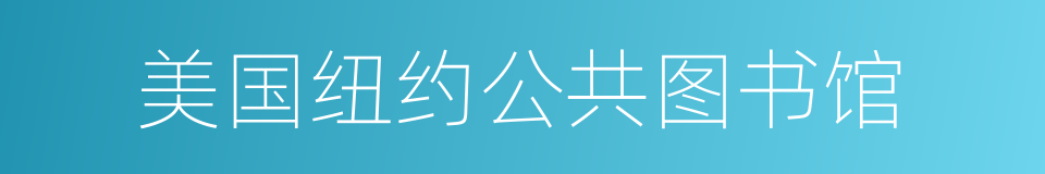 美国纽约公共图书馆的同义词