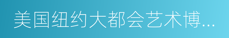 美国纽约大都会艺术博物馆的同义词