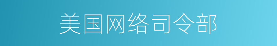 美国网络司令部的同义词