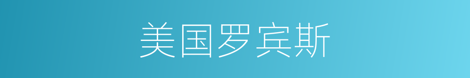 美国罗宾斯的同义词