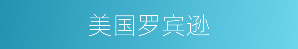 美国罗宾逊的同义词