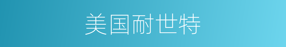 美国耐世特的同义词