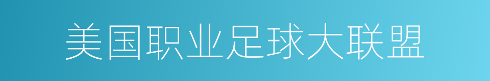 美国职业足球大联盟的同义词