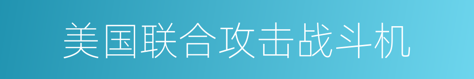 美国联合攻击战斗机的同义词