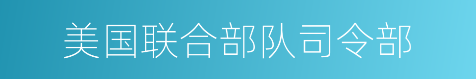 美国联合部队司令部的同义词