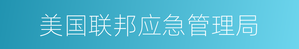 美国联邦应急管理局的同义词