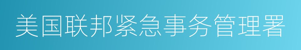 美国联邦紧急事务管理署的同义词