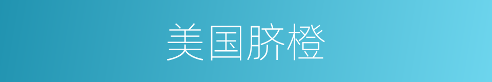 美国脐橙的同义词