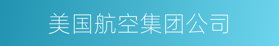 美国航空集团公司的同义词