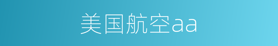 美国航空aa的同义词