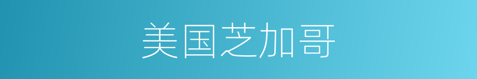 美国芝加哥的同义词