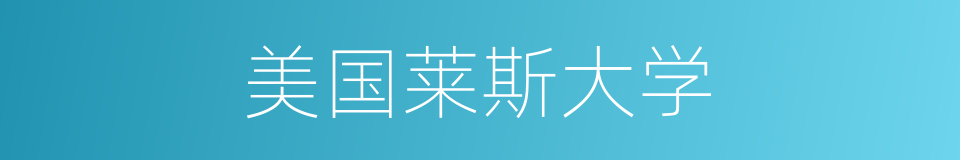 美国莱斯大学的同义词