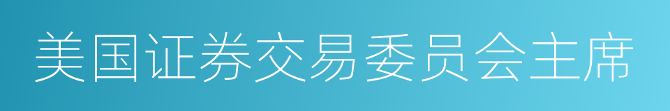 美国证券交易委员会主席的同义词