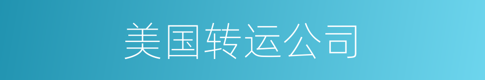 美国转运公司的同义词