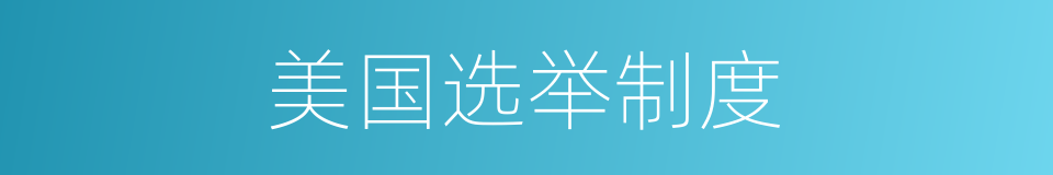 美国选举制度的同义词